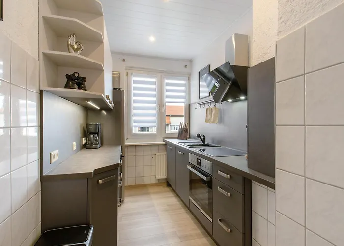 San Marino 3 Mucheln